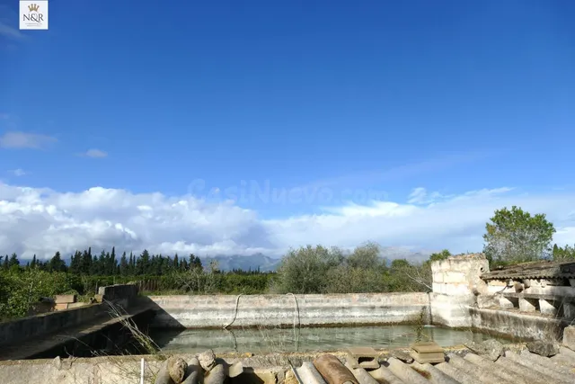 FINCA RÚSTICA CON LUZ ELÉCTRICA Y AGUA EN LLUBÍ - foto 3