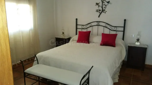 FINCA RUSTICA CON PLACAS SOLARES EN LOS RINCONES — 5