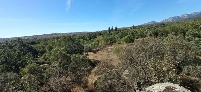 Terreno rural en venta - Miraflores de la Sierra