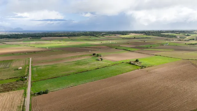 Parcela rústica con proyecto en muro — 2