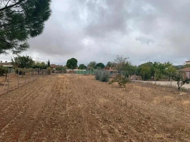 Parcela de terreno de 2100 m. en La Gorgoja.