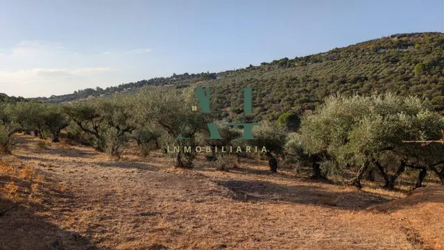 Gran Casa de Campo a 6 km de Cáceres — 6