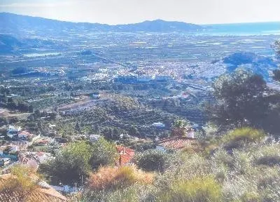 Terreno urbano en venta - Monte los Almendros - El Pargo - C