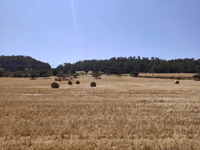 Terreno rural en venta - Porreres