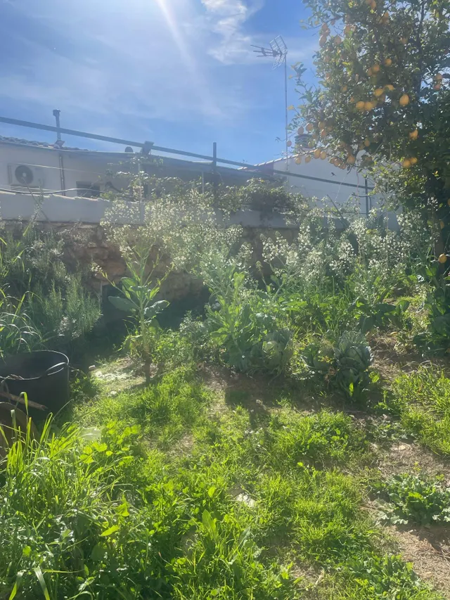Casa 3 habitaciones 247m² en venta - Andalucia — 7