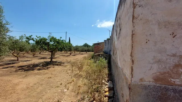 Tu Refugio Natural a un Paso de la Ciudad: ¡Transforma y Crea! — 31