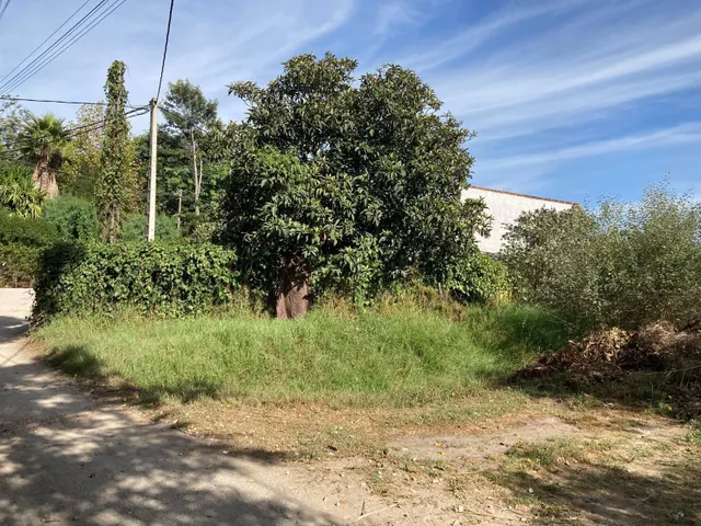 PARCELA CON TRES APARTAMENTOS — 35
