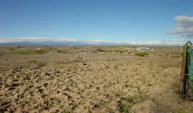 Terreno rural en venta - La Dehesa - El Pinar — 2