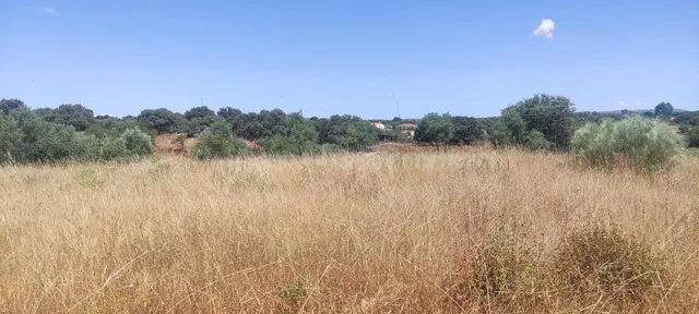 ¡Terreno de 2800 m2 en zona ermita! - foto 4