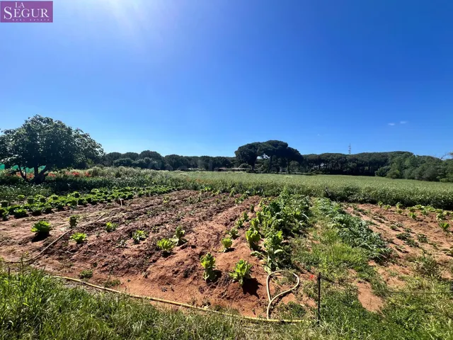 ESTUPENDA PARCELA CON CASA EN LA MUELA - foto 3