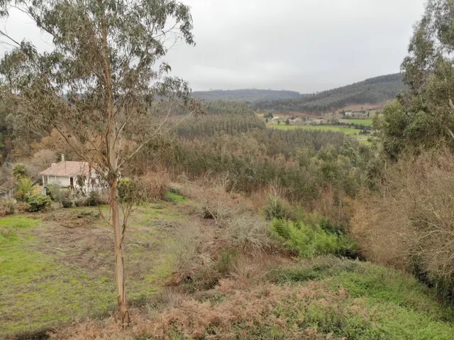 Finca Urbana en OzaCesuras — 11