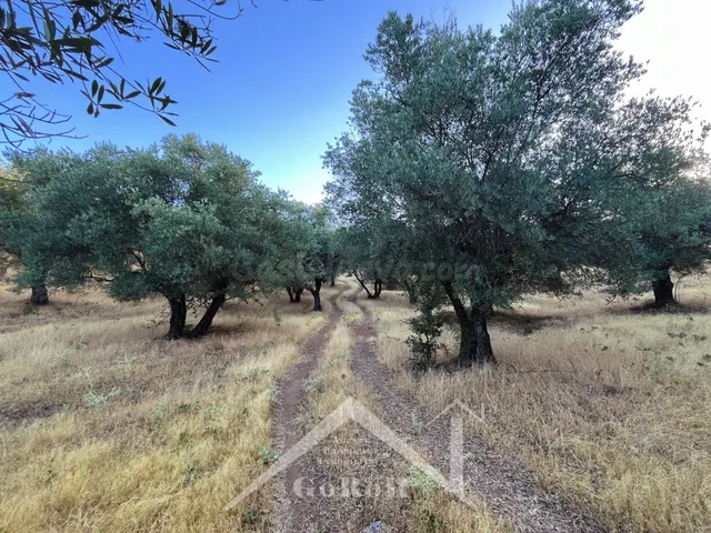 Suelo rústico en Venta en Constantina Sevilla — 9