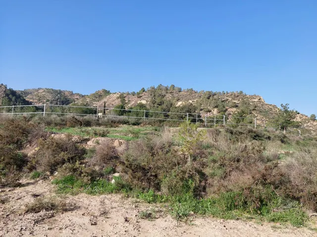 Casa con terreno en zona del Garruchal — 37