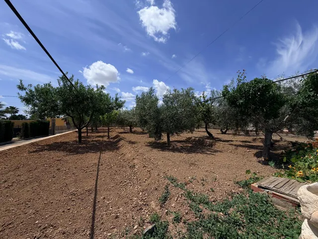 Chalet Elche zona bonavista — 8