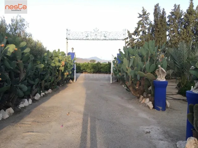 CORTIJO ESPECTACULAR CON JARDINES PUEDE SER PARA CASA RURAL  - foto 5