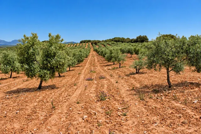UN PARAÍSO EN EL SUR DE ESPAÑA!!!!! - foto 3
