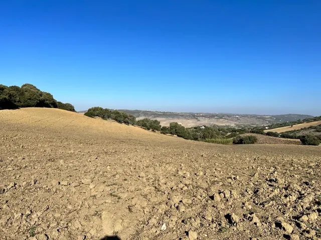 ESTUPENDA PARCELA RUSTICA EN VEJER DE LA FRONTERA