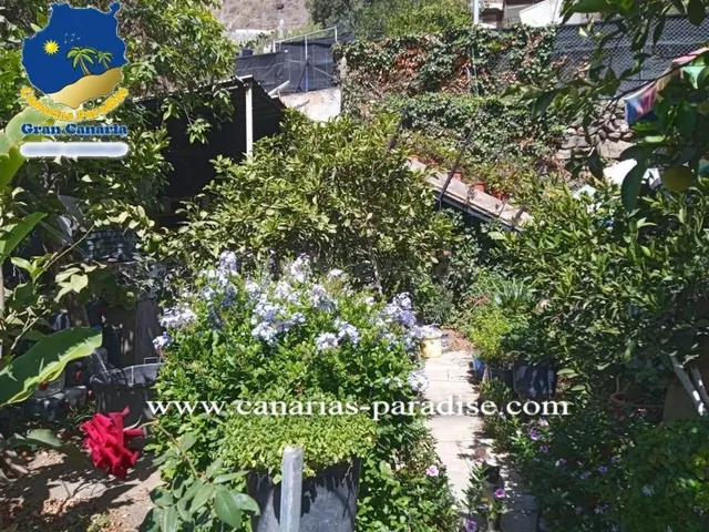 Canarias Paradise Real Estate - Casa independiente de 3 dorm