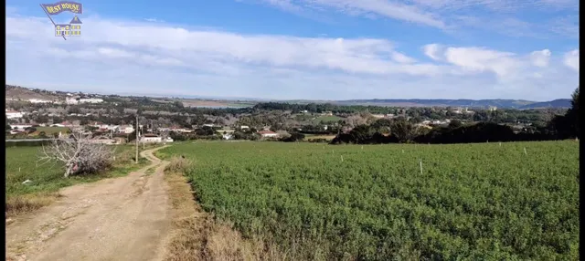 SE VENDE FINCA EN ZONA EL ROMERAL - foto 2