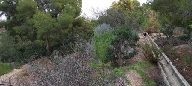 Parcela en venta. Zona Karting la cala en la carretera de Vi - foto 4