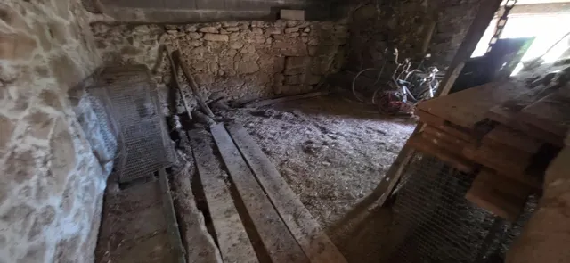 CASA DE PIEDRA EN RUINAS CON PARCELA EN DODRO — 2