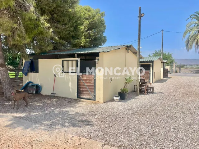 Fantástica finca rústica con piscina privada e instalaciones para caballos junto al Parc Natural del Fond en Dolores, Alicante — 35