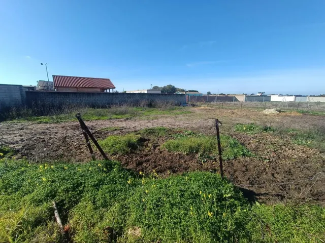 Parcela en zona La Negra - foto 5
