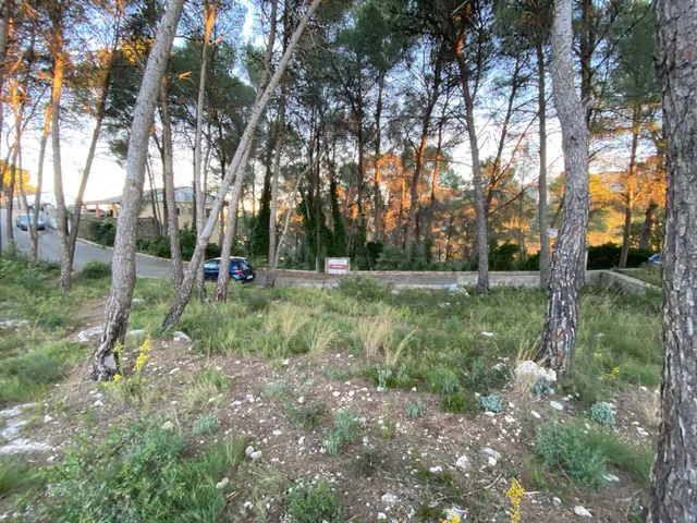 Terreno en venta - foto 3
