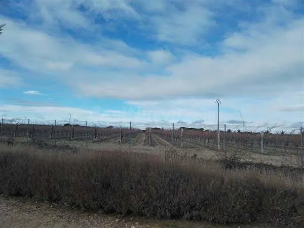 LOTE DE FINCAS RUSTICAS EN CODORNIZ, SEGOVIA