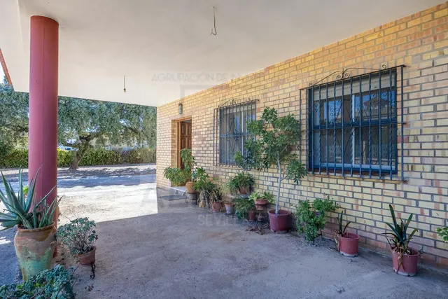 Venta de chalet independiente la urb. los ranchos de guadiamar Sanlúcar la Mayor (Sevilla) — 8