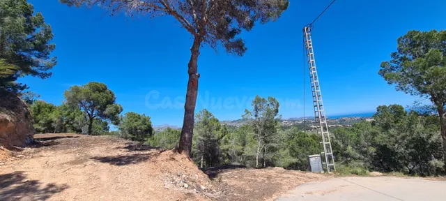 Parcela en venta - Oltamar - foto 4