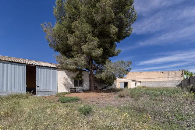ESTUPENDO SOLAR URBANO CON NAVE EN PEDRO MARTÍNEZ — 3