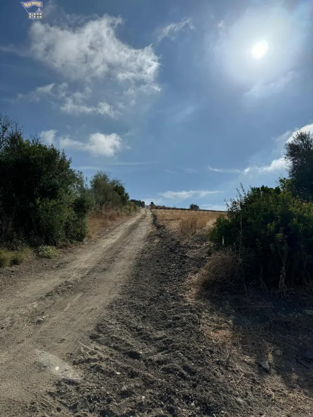 TERRERO RÚSTICO EN ZONA CARRETERA ARCOS-ALGAR - foto 4