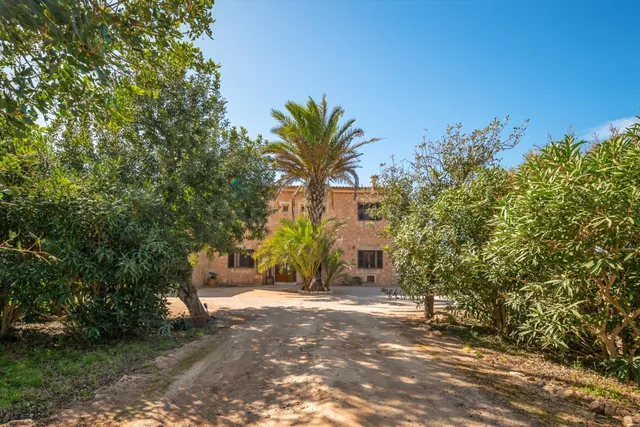 Finca mallorquina con viñedo — a 10 minutos de playa Es Tren - foto 4