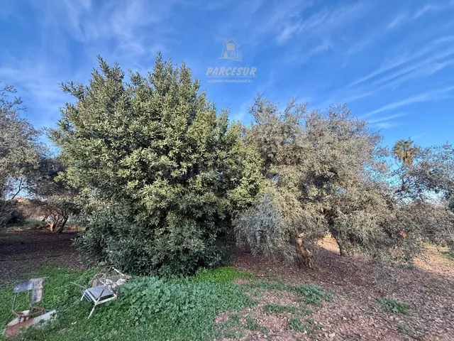 Oportunidad Única en Las Quemadas: Casa con Amplio Terreno y - foto 3