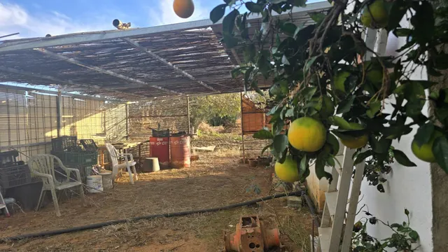 PARCELA -SEGREGADA CON REFUGIO EN ZONA PINAR DE LOS FRANCESES — 5