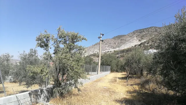 Solar en venta - Padul - foto 2