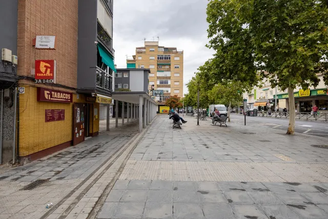 Local Comercial en Zaidín para Reformar - Excelente Ubicación — 12