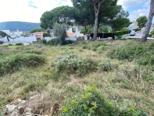 Terreno en Montgó - foto 3