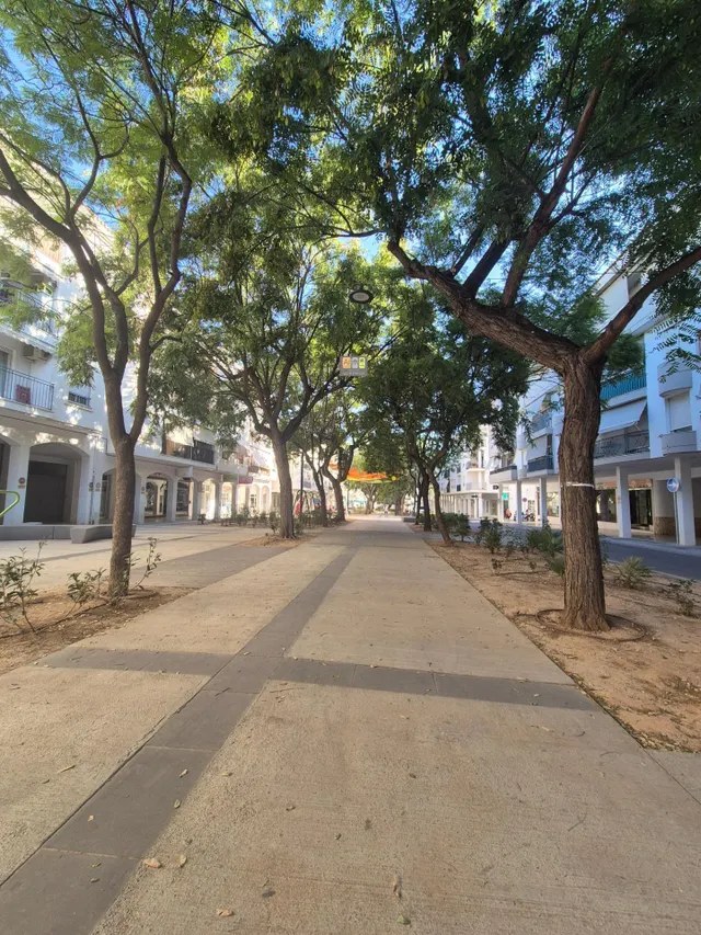 TRASPASO RESTAURANTE-CAFETERIA EN ALTEA PUEBLO — 5