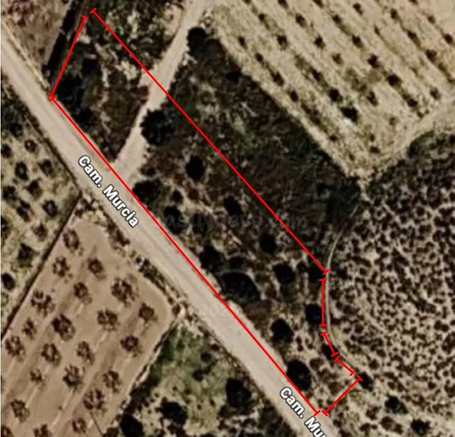 Solar urbano de 503 m2 con 2.510 m2 de olivar en Tobarra