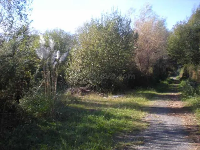 Suelo Rústico en venta, TOMBO, Sanxenxo, Pontevedra - foto 2