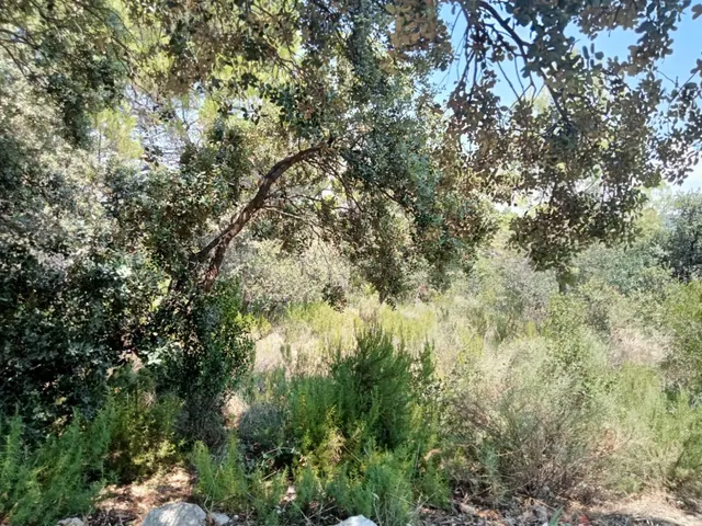 Tegeisa vende parcela llana de 1.131m2