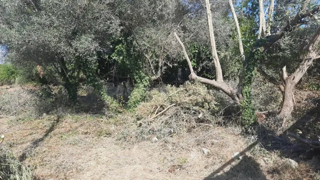 Terreno con proyecto y estudios incluidos - foto 5