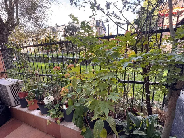 Bajo en venta en Majadahonda — 9