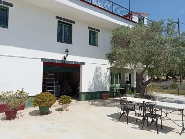 MASIA DEL 1960 CON 39000M2 DE TERRENO AGRICOLA AL LADO DEL MAR DE SANT SALVADOR — 6