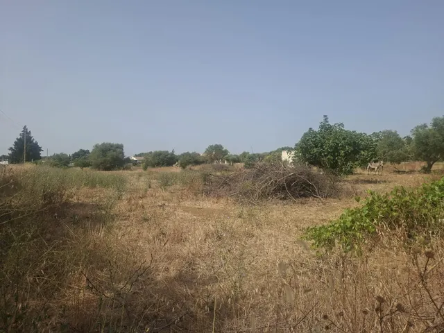 FANTASTICA PARCELA CON construcción EN EL PAGO DEL HUMO — 6