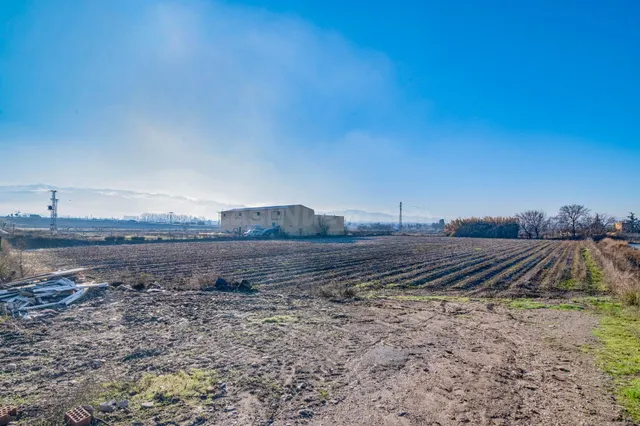Excelente finca de regadío en la Vega de Granada, con acceso directo — 5