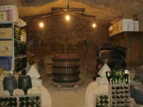 SE VENDE BODEGA EN VILLACÉ, RESTAURADA, CON  MERENDERO, 2 BAÑOS, BARBACOA, APARCAMIENTO Y JARDÍN — 8