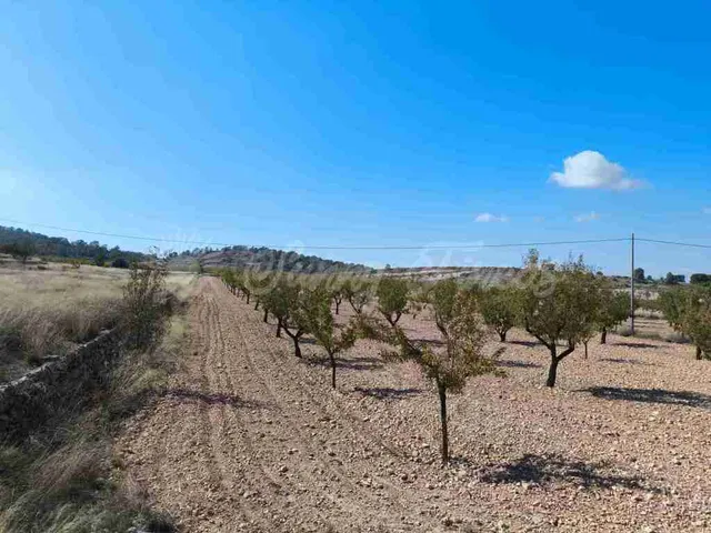 Suelo rústico en Venta en Jumilla Murcia — 9